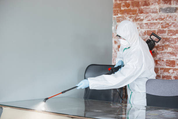 Best Environmental Consulting for Mold Prevention  in USA